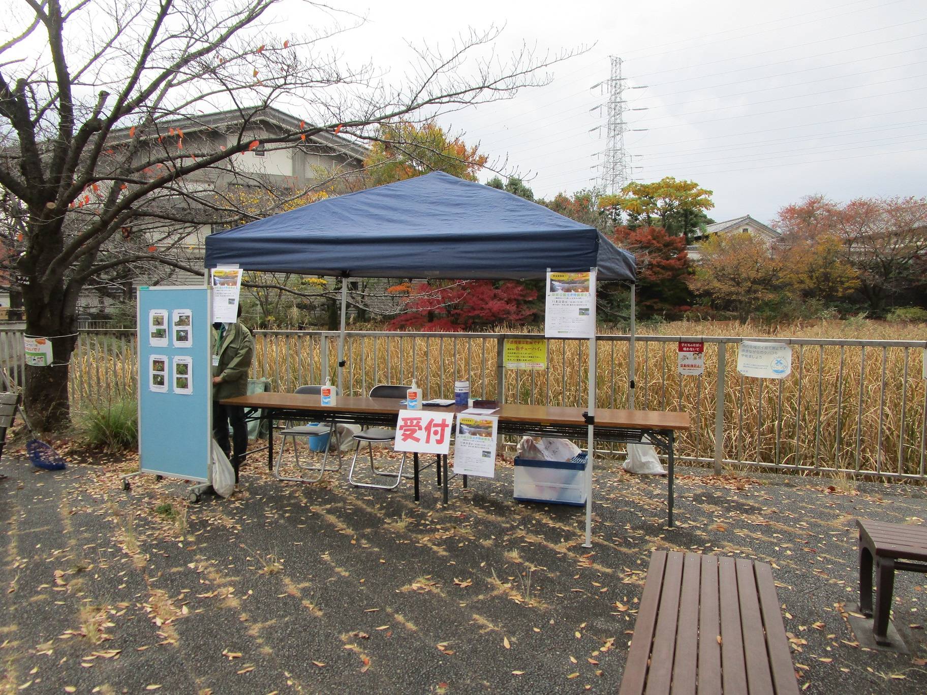岸根公園生き物観察会(2022年11月20日)の写真