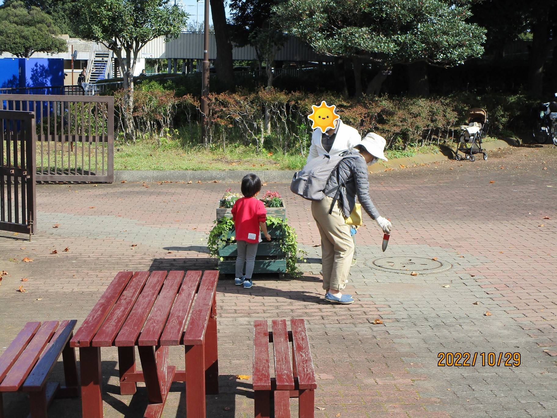 秋の花植え(2022年10月29日)の写真