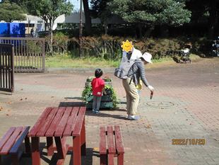 秋の花植え(2022年10月29日)