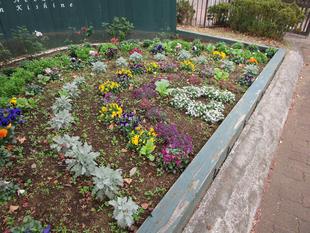 Garden Necklace in Kishine(2022年11月28日)