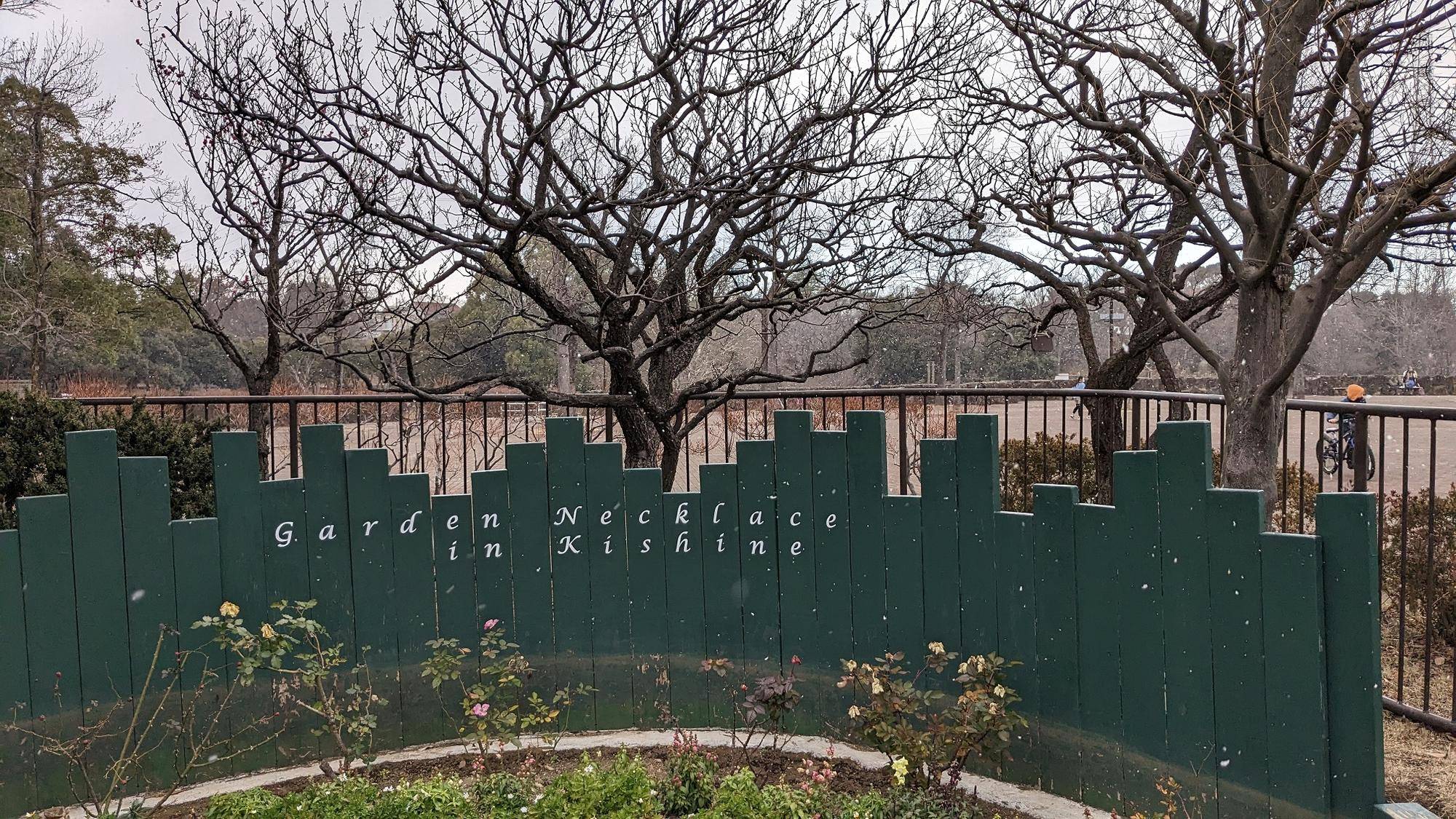 休日の雪の写真