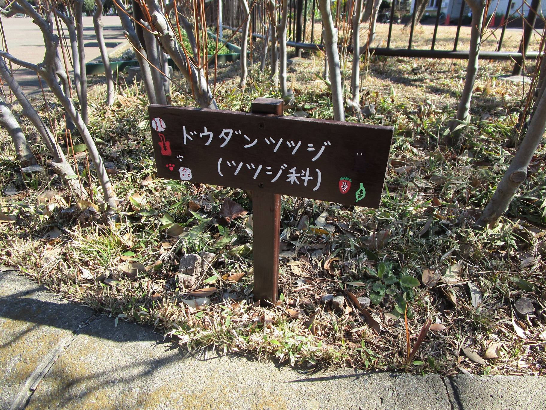 樹名板を作ろう!!③の写真