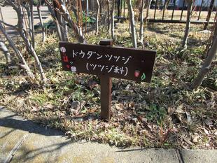 樹名板を作ろう!!③