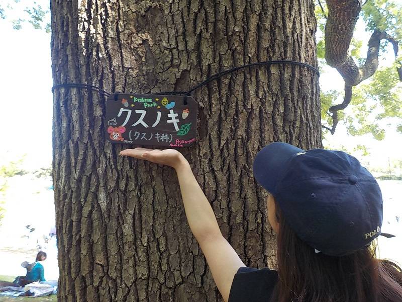 樹名板の設置の写真