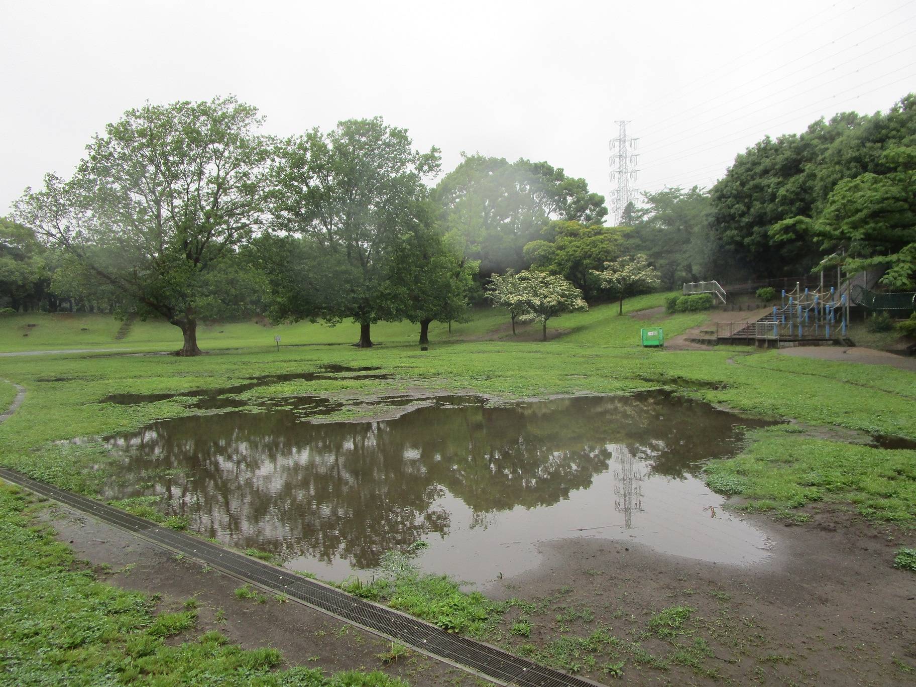 雨の岸根公園の写真