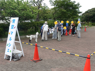 新鮮野菜　「青空マルシェ」