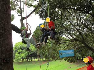 ツリークライミング　（2023年8月27日）