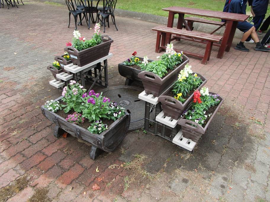 「鶴見支援学校」秋の花植え(2023年10月31日)の写真