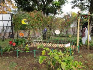 お花のトンネル（2023年10月29日）