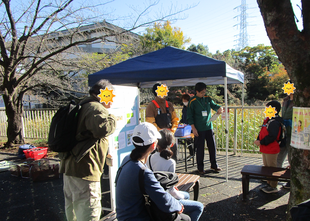 岸根公園生き物観察会(2023年11月19日)