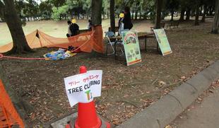 ツリークライミング (2023年11月11日)