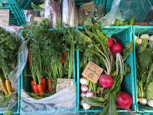 地産地消マルシェ(2023年12月9日)