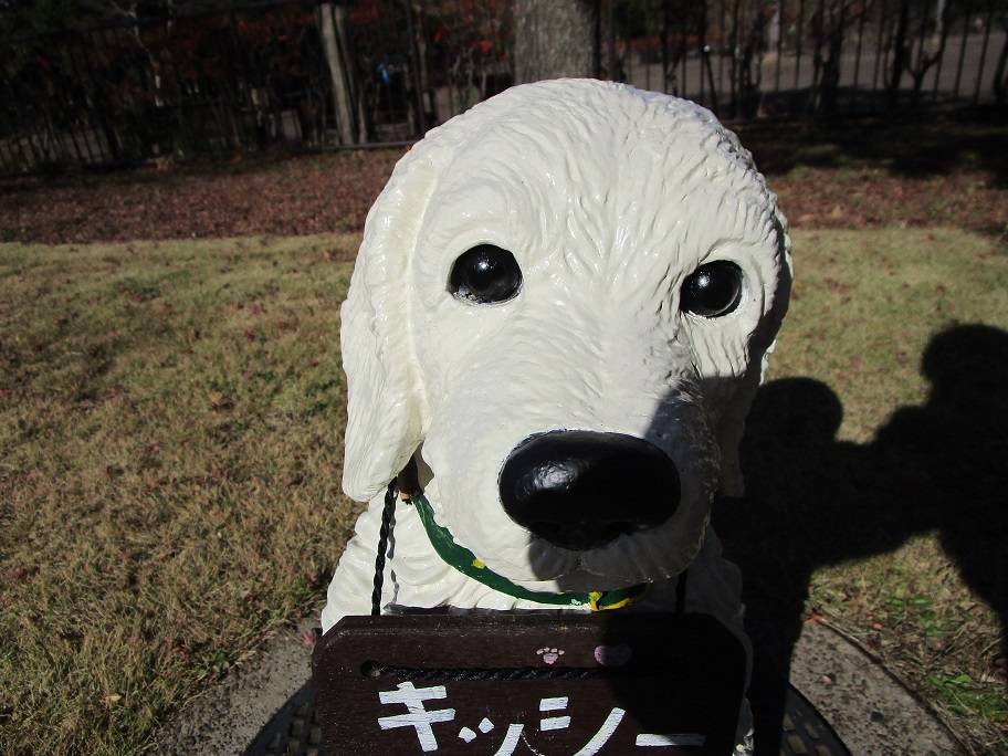 キッシーリフレッシュの写真