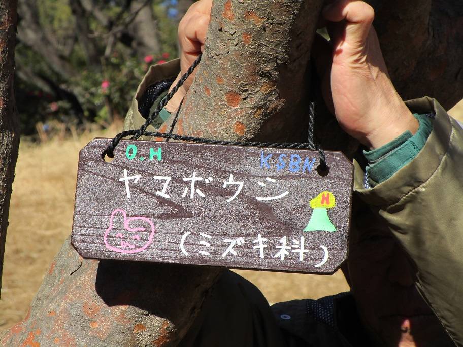 樹名板を作ろう(2024年1月16日)の写真