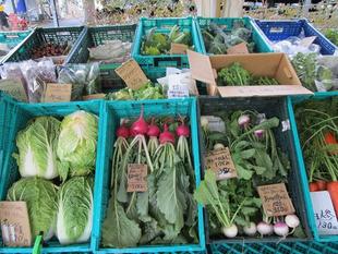 地産地消マルシェ(2024年1月13日)