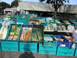 地産地消マルシェ (2024年3月9日)