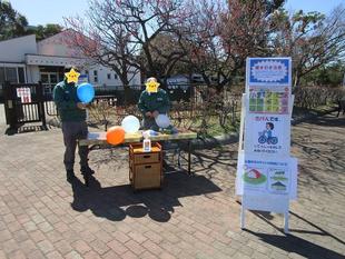 お願いごとキャンペーン(2024年3月10日)