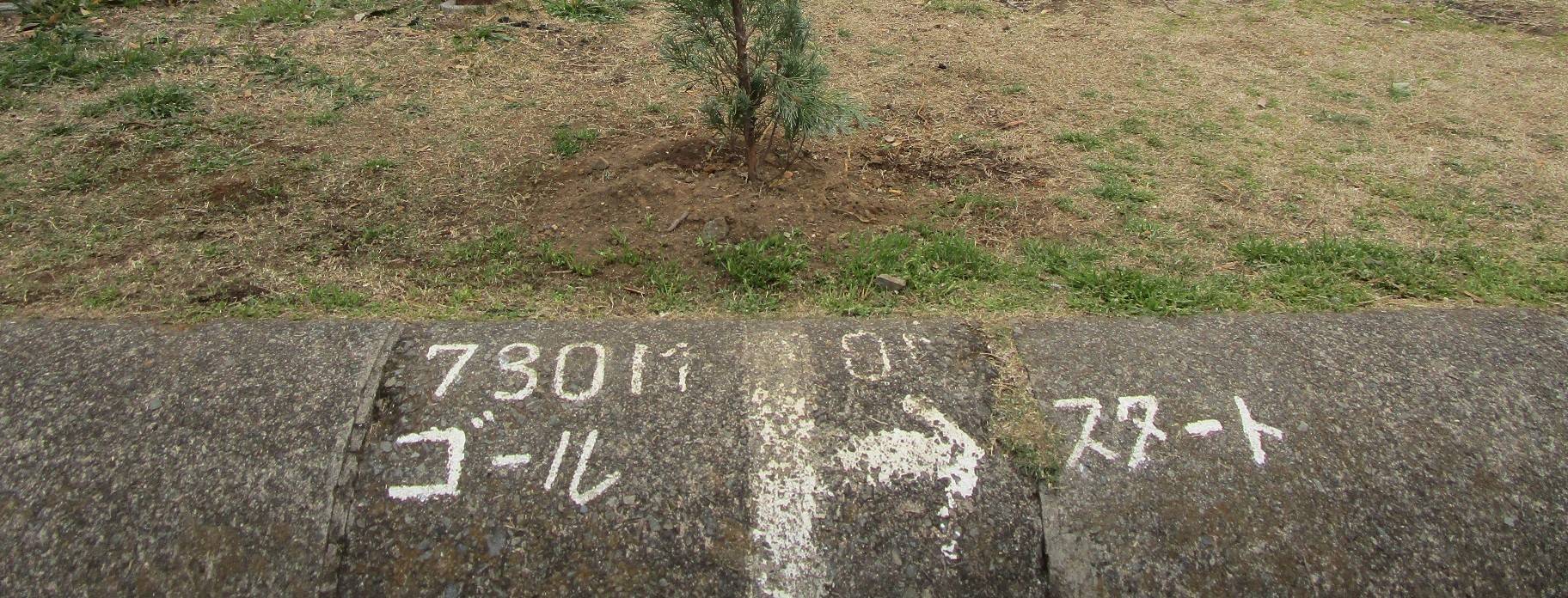 ひょうたん原っぱウォーキングルートの写真