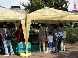 地産地消マルシェ　（2024年4月13日）