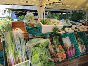 地産地消マルシェ (2024年5月11日)