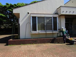 グリーンカーテン【2024年5月3日】