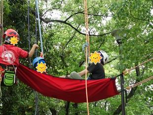 ツリークライミング【2024年5月19日】