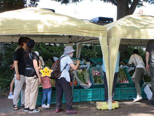 地産地消マルシェ（2024年6月8日）