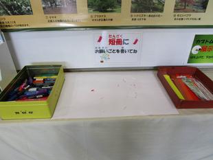 七夕飾り【2024年6月29日】