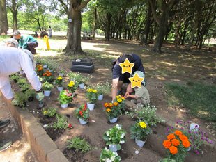 花壇の花植え　【2024年6月8日】