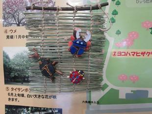 生き物展示中【2024年7月31日】