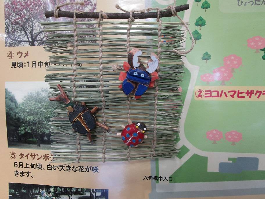 生き物展示中【2024年7月31日】の写真