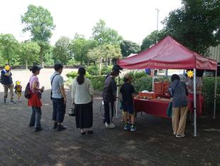 地産地消マルシェ【2024年7月13日】