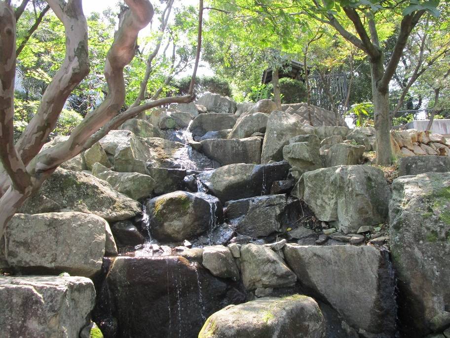 篠原池の小さな滝【2024年8月13日】の写真