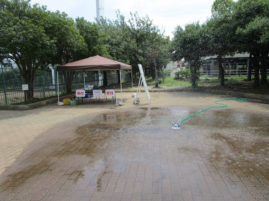 野球場無料開放サービス【2024年8月19日】の写真