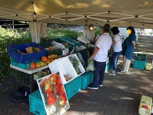 地産地消マルシェ【2024年9月14日】