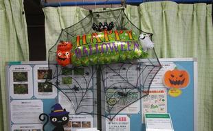 ハッピーハロウィン【2024年10月16日】