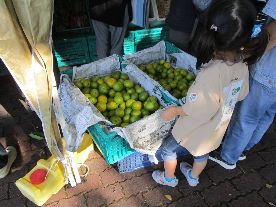 地産地消マルシェ【2024年10月12日】の写真