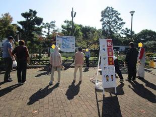 秋の花植え【2024年11月3日】