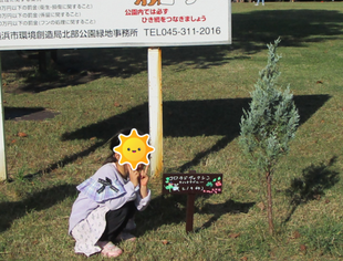 樹名板つくり【2024年11月4日】