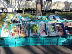 地産地消マルシェ【2024年12月14日】