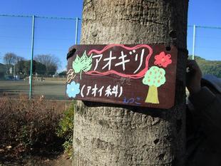 樹名板を作ろう【2025年1月11日】