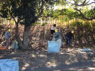 パーククリーンデー【2025年2月9日】