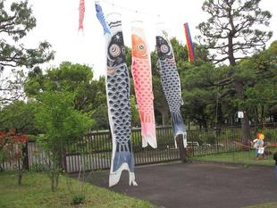 鯉のぼり展示中(2025年4月25日)