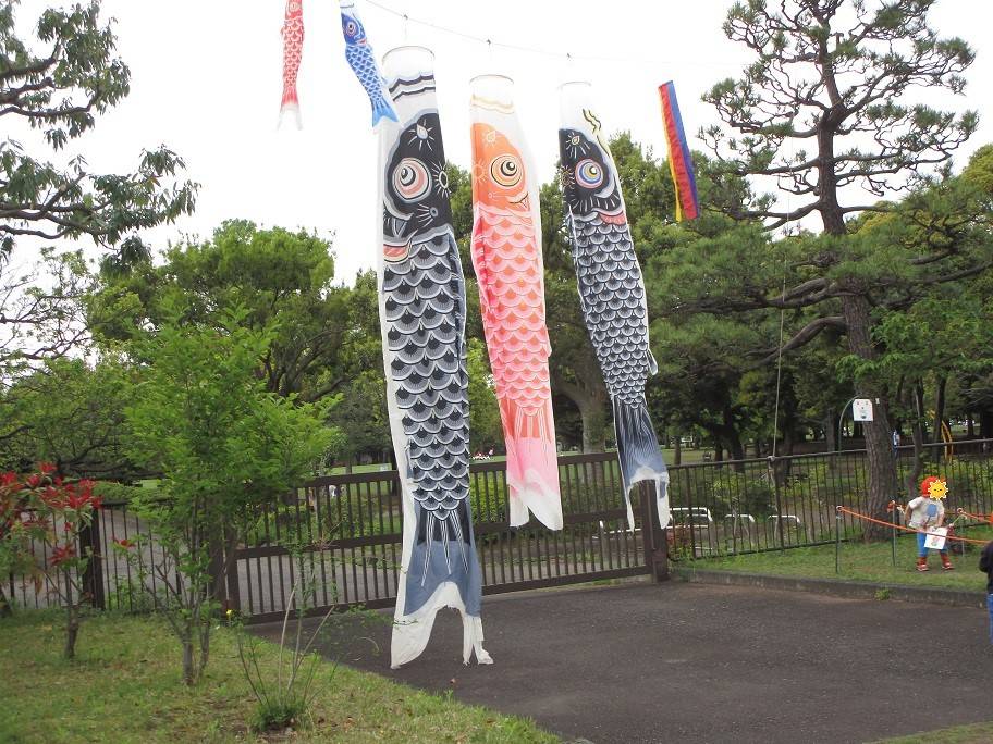 鯉のぼり展示中(2025年4月25日)の写真