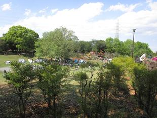 『山笑う』【2025年4月29日】