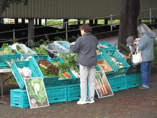 『地産地消マルシェ』やっています