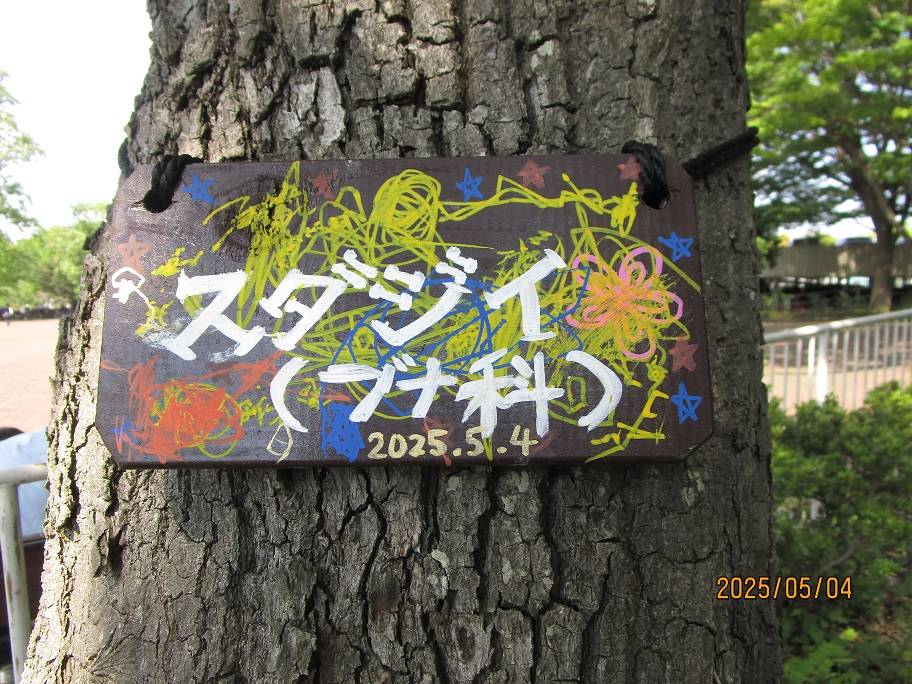 樹名板を作ろう【2025年5月4日】の写真