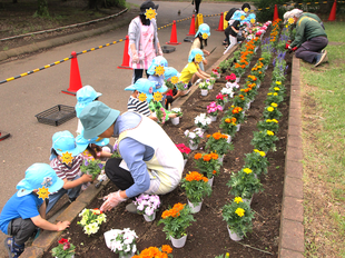 岸根こども園のお友達に、花植えをお手伝いいただきました
