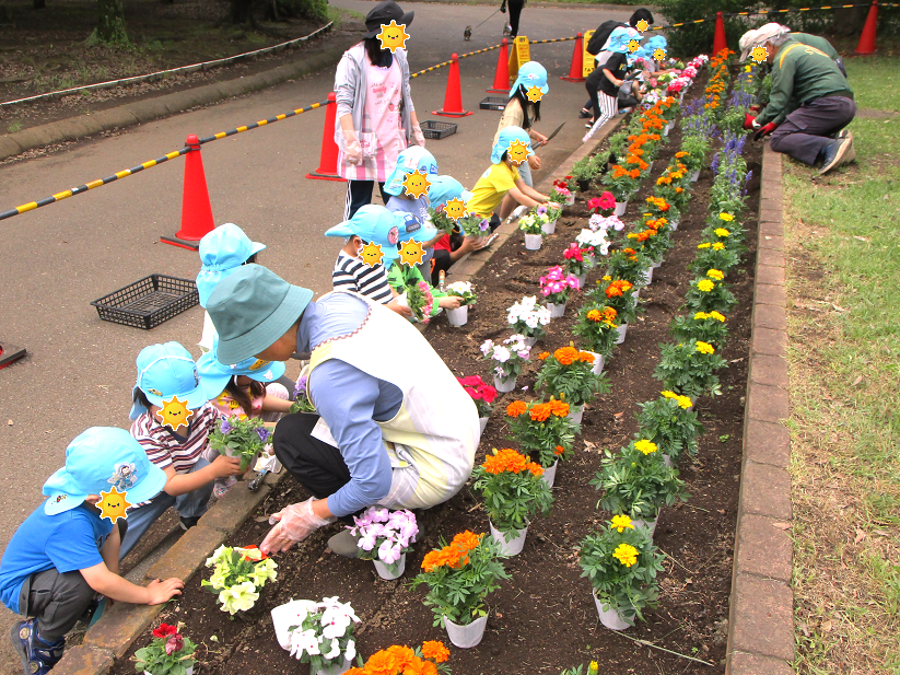 岸根こども園のお友達に、花植えをお手伝いいただきましたの写真