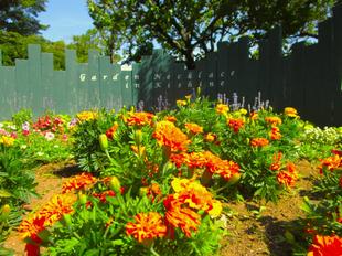 木漏れ日のテラス